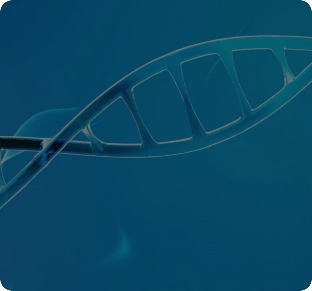 Rise Healthcare